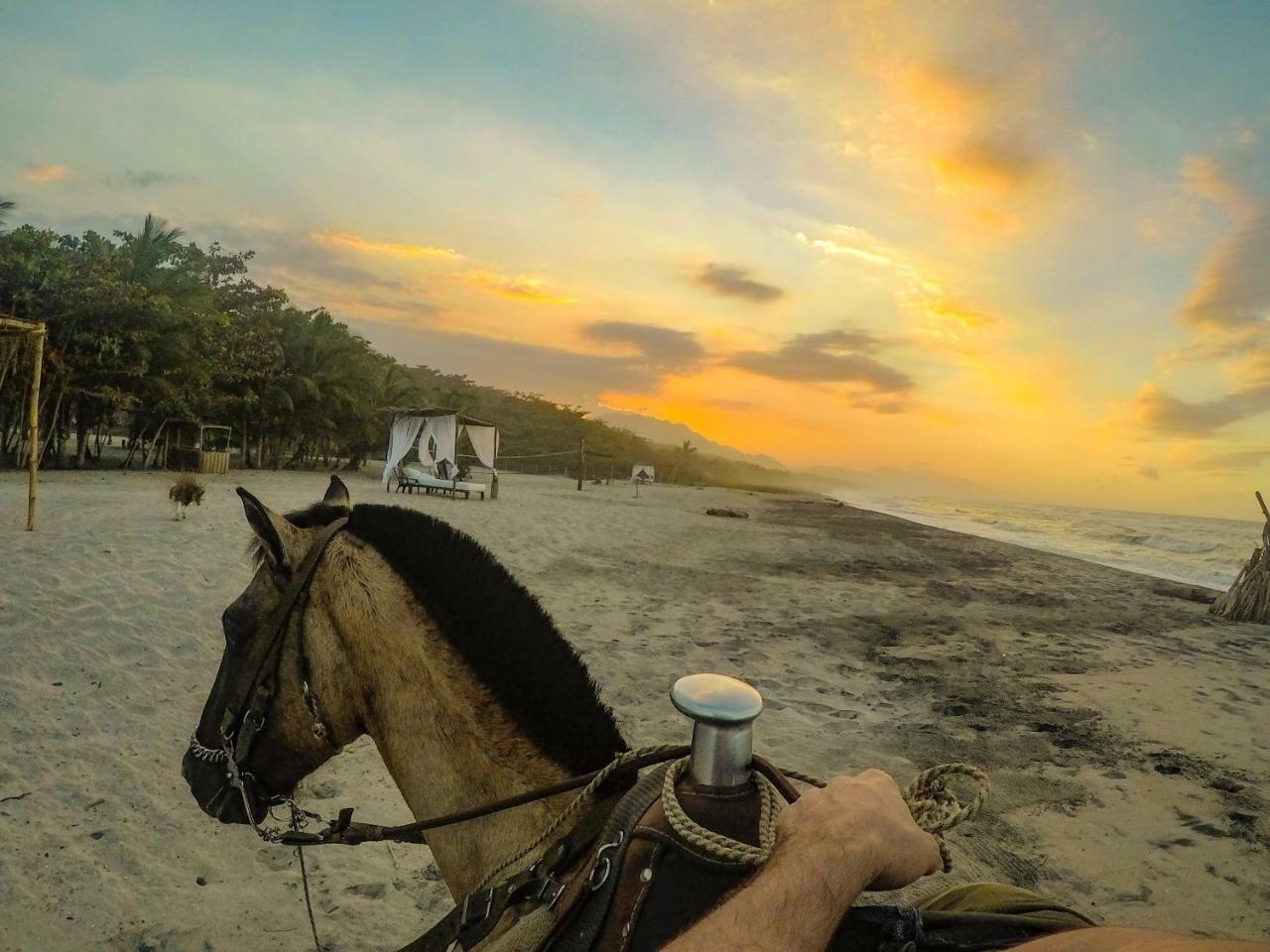 Tay Beach Hotel Tayrona Buritaca Exteriér fotografie